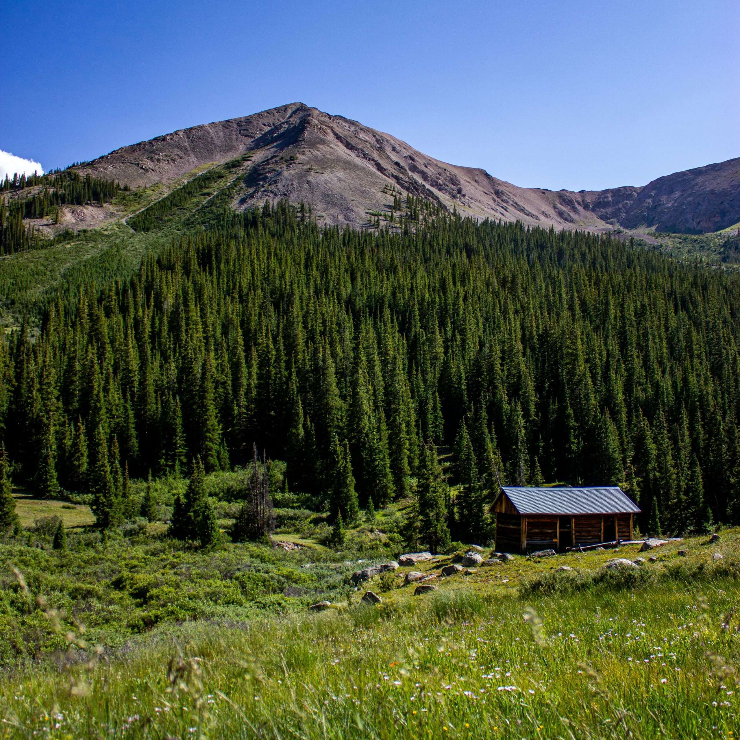 Stunning view of a lone cabin amidst alpine forest and mountains in Colorado.